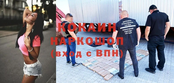 ГАЛЛЮЦИНОГЕННЫЕ ГРИБЫ Баксан