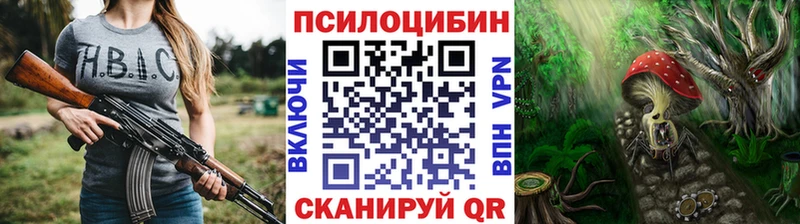 Галлюциногенные грибы Psilocybe  Славгород 